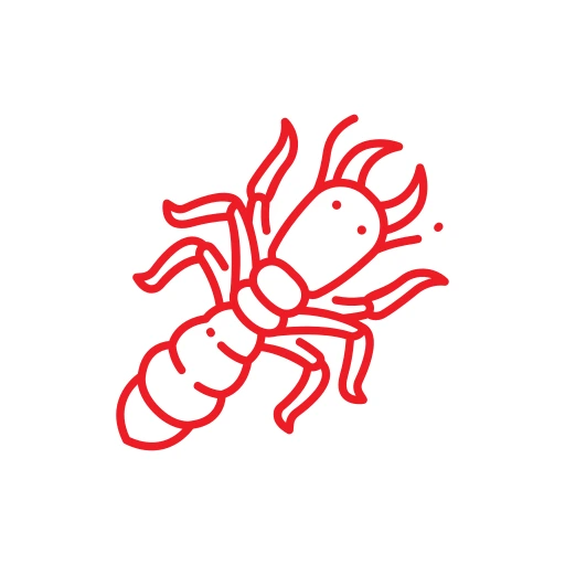 A red line drawing of an insect, possibly an ant or termite, on a white circular background.